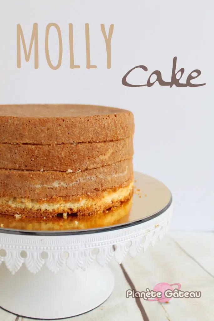 Recette du Molly cake pour le cake design - Blog Planete Gateau